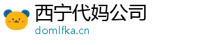 西宁代妈公司	